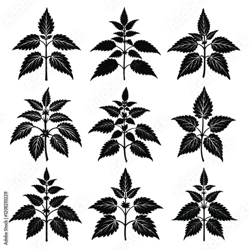 Stinging Nettle Silhouette Vector Illustration