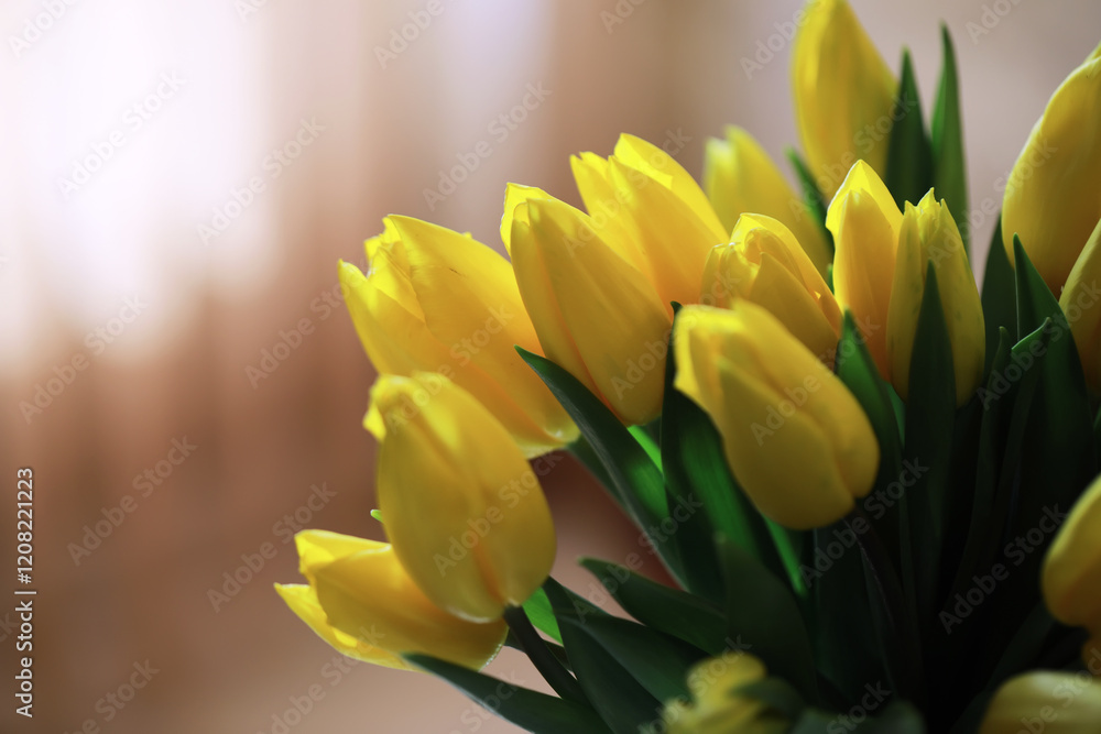 Obraz premium Tulip flowers close-up in a vase. Mothers Day.