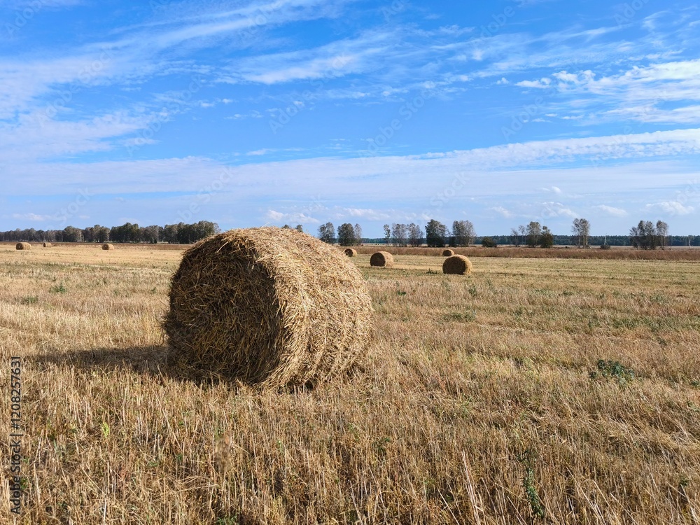 Haystack on the field Haystack on the field