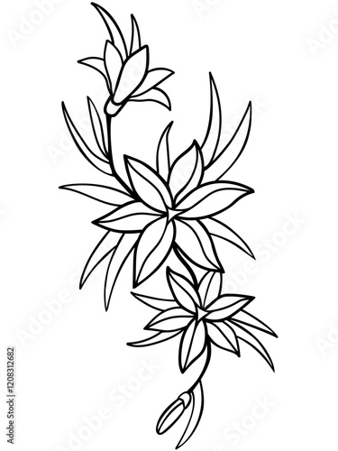 Lilies, flowers with leaves vector linear image. Outline. Line drawing. For coloring	