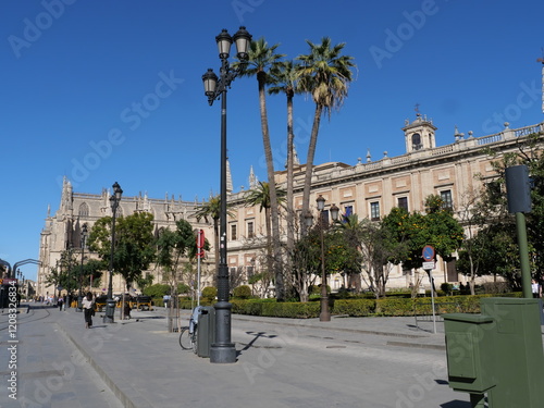 Palmen neben der Kathedrale Maria de la Sede in Sevilla Spanien ist eine der größten Kirchen der Welt photo