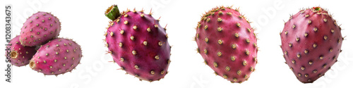 Prickly pear cactus fruit isolated on transparent background, PNG die-cut, Set of