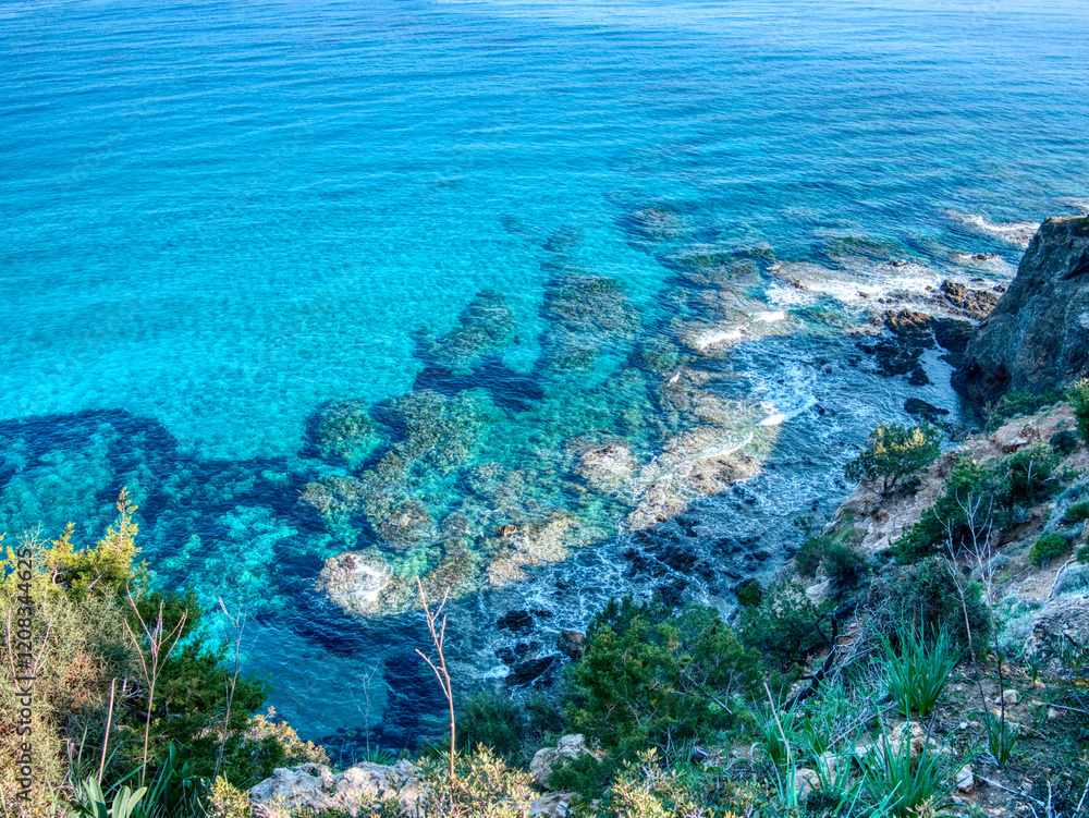 Fototapeta premium Sunlit Coastline and Lush Forest: Akamas National Forest Park, Cyprus