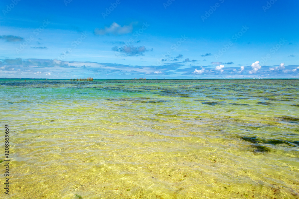 piscinas naturais maceio alagoas brasil piscinas naturais maceio alagoas brasil