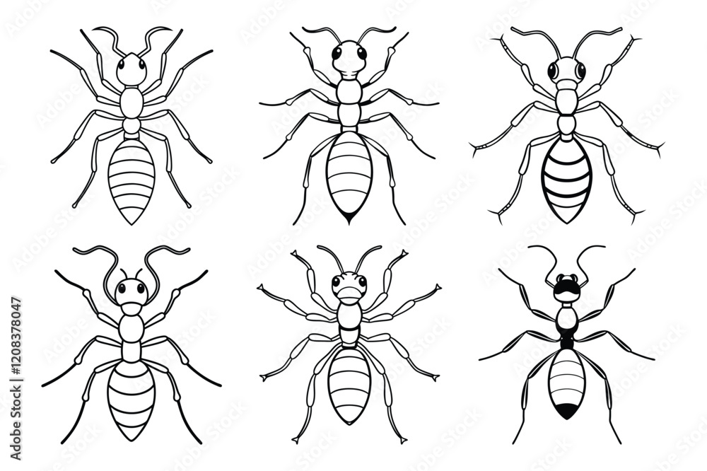 Obraz premium Ants line Icon set Flat Design. Ants line Icon vector illustration design