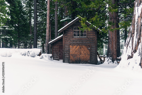 Tahoe Winter