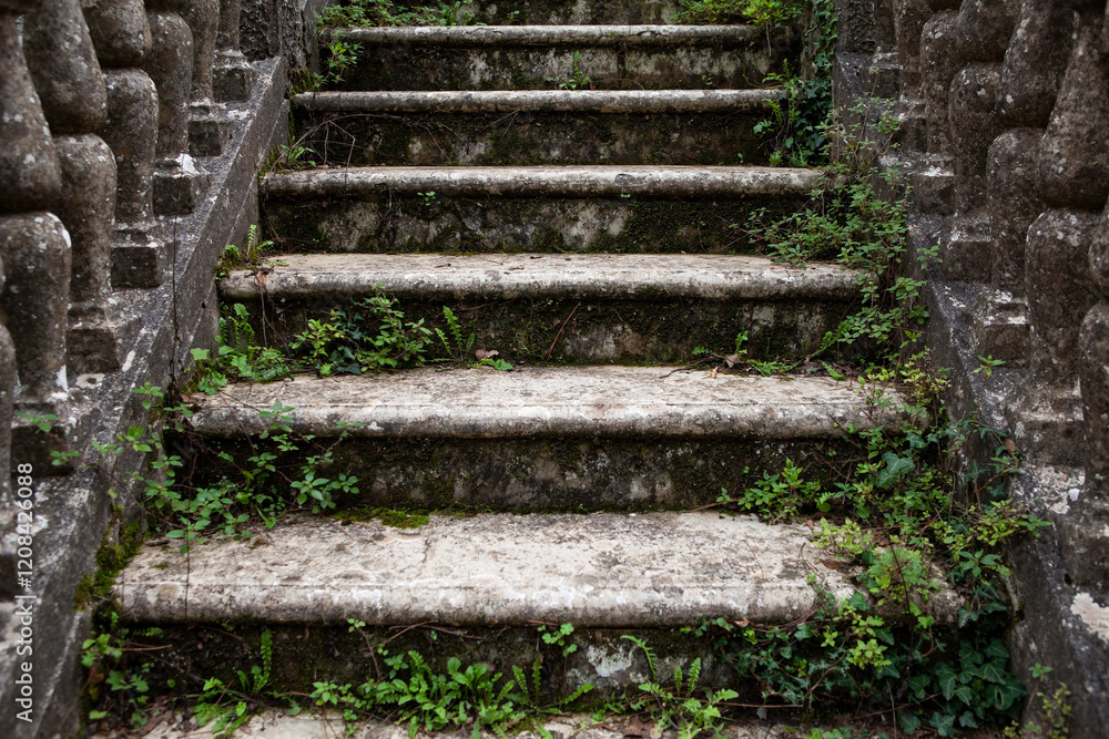 The ivy-covered stairs of an old, abandoned house. Umbra Forest, Gargano National Park, Italy. The ivy-covered stairs of an old, abandoned house. Umbra Forest, Gargano National Park, Italy.
