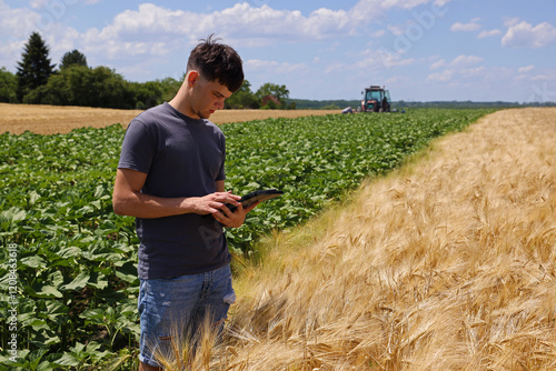 Young farmer with a tablet checking a ripe wheat field, in a background farm worker with tractor cultivating agricultural field. Beautiful sunny day with clouds in the sky
