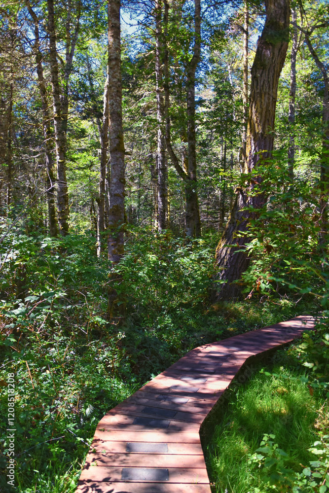 Shark Reef Sanctuary boardwalk hiking trail views Lopez Island, San Juan Islands summer 2024, Washington, United States.