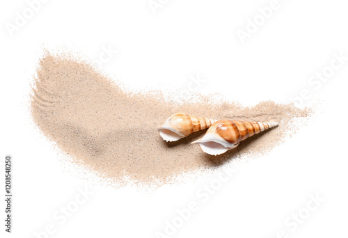 Beautiful seashells with sa...