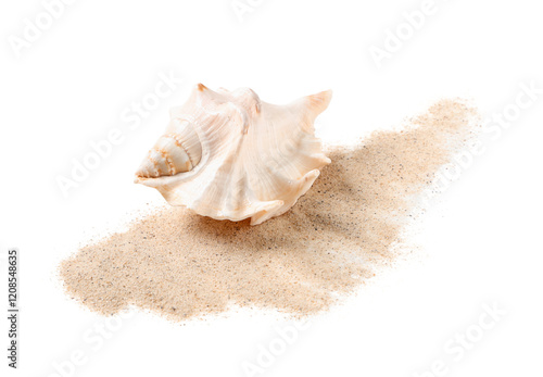 Beautiful seashell and sand...