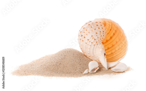 Seashells and heap of sand ...