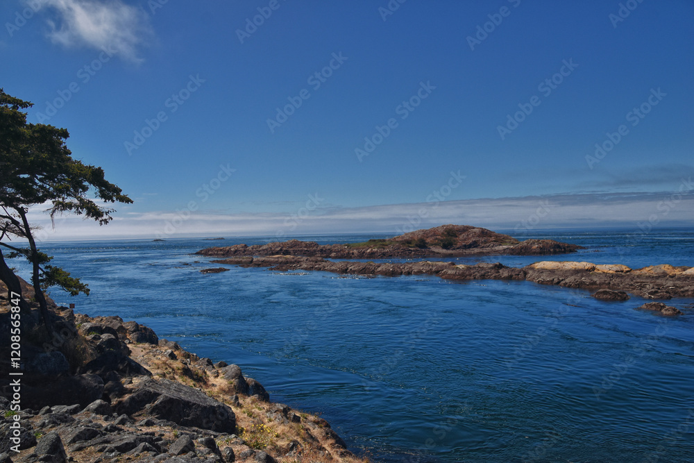 Shark Reef Sanctuary coastal ocean views Lopez Island, San Juan Islands summer 2024, Washington, United States.