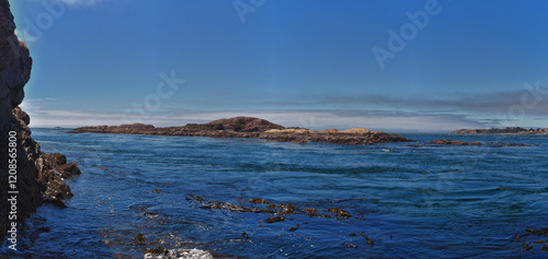 Obraz na płótnie Shark Reef Sanctuary coastal ocean views Lopez Island, San Juan Islands summer 2024, Washington, United States. w salonie