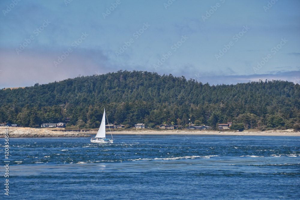 Shark Reef Sanctuary coastal ocean views Lopez Island, San Juan Islands summer 2024, Washington, United States.