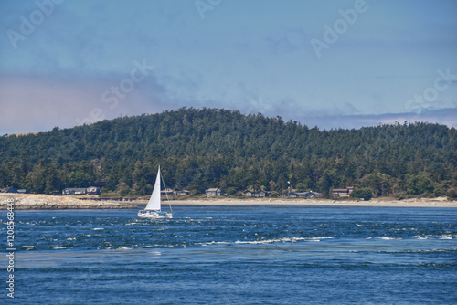 Obraz na płótnie Shark Reef Sanctuary coastal ocean views Lopez Island, San Juan Islands summer 2024, Washington, United States. w salonie