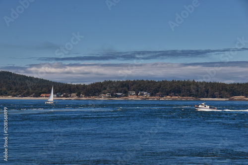 Obraz na płótnie Shark Reef Sanctuary coastal ocean views Lopez Island, San Juan Islands summer 2024, Washington, United States. w salonie