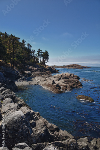 Obraz na płótnie Shark Reef Sanctuary coastal ocean views Lopez Island, San Juan Islands summer 2024, Washington, United States. w salonie