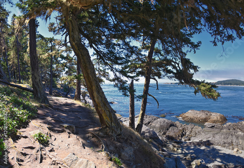 Obraz na płótnie Shark Reef Sanctuary coastal ocean views Lopez Island, San Juan Islands summer 2024, Washington, United States. w salonie