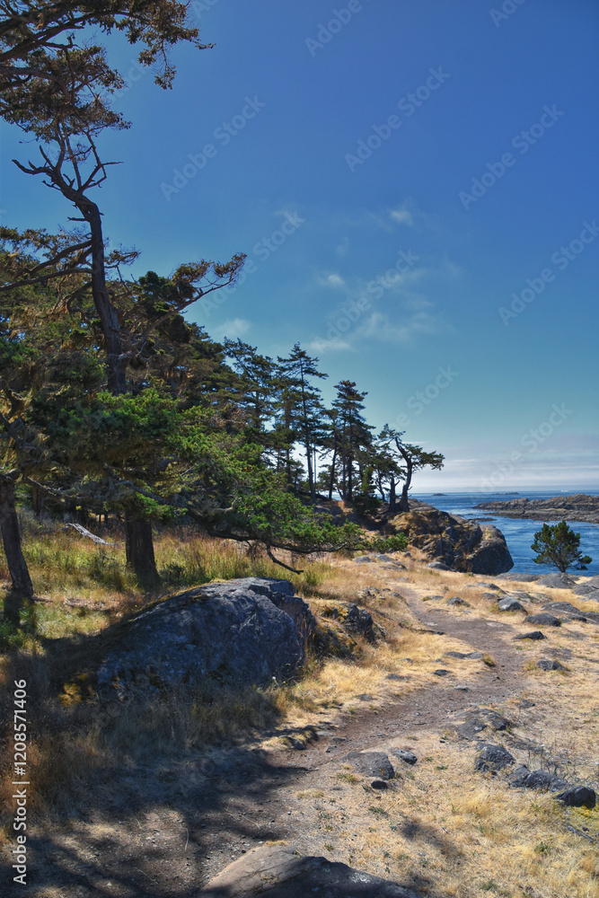 Shark Reef Sanctuary coastal ocean views Lopez Island, San Juan Islands summer 2024, Washington, United States.