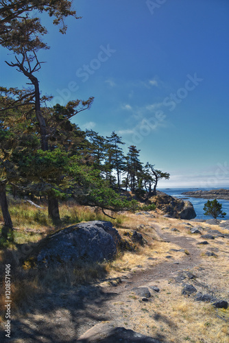 Obraz na płótnie Shark Reef Sanctuary coastal ocean views Lopez Island, San Juan Islands summer 2024, Washington, United States. w salonie