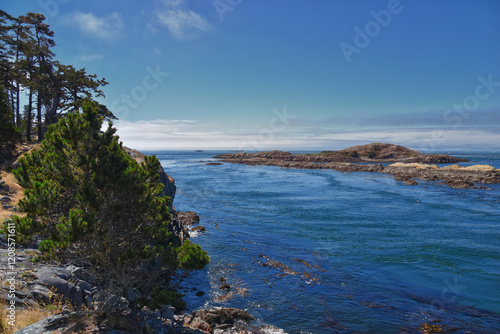 Obraz na płótnie Shark Reef Sanctuary coastal ocean views Lopez Island, San Juan Islands summer 2024, Washington, United States. w salonie