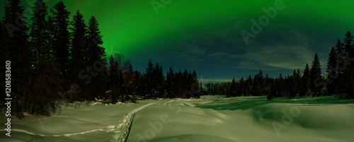 Photos Night time panorama of a snowshoe trail in a forest lit by the moon and green Au