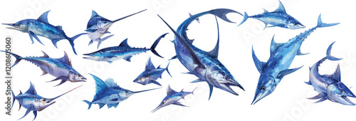 swordfish watercolor clipart