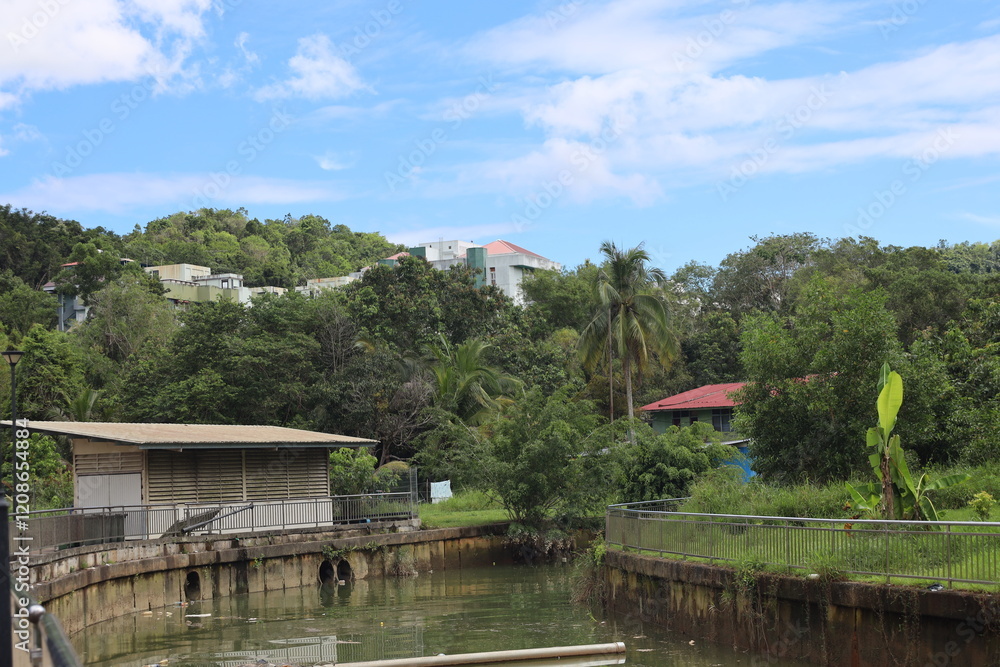 manmade drainage canal through urban setting and dense tropical rain forests curves off into the distance under blue skies manmade drainage canal through urban setting and dense tropical rain forests curves off into the distance under blue skies