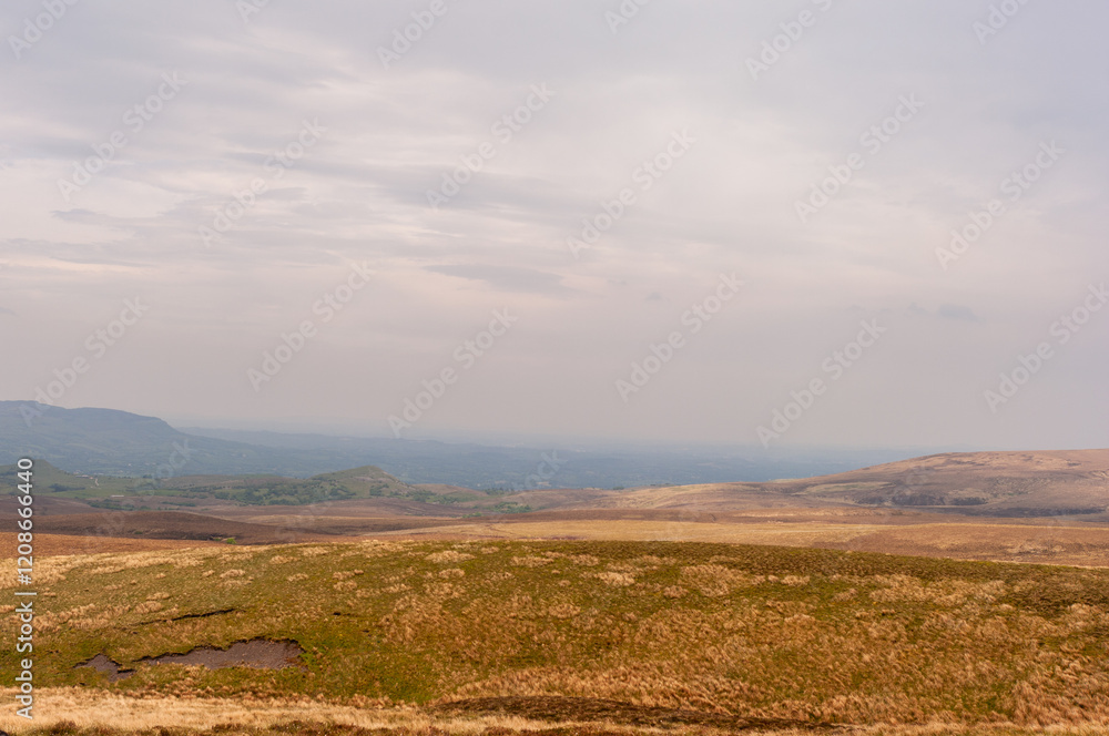 A large, open field with a cloudy sky in the background A large, open field with a cloudy sky in the background