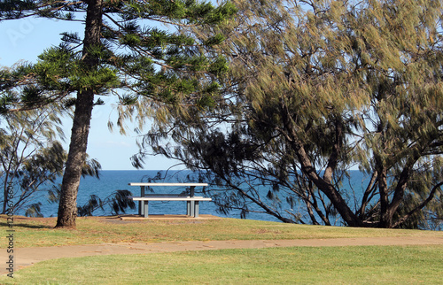 фотографія Picnic table and trees next to the ocean at Elliott Heads in Queensland, Austral