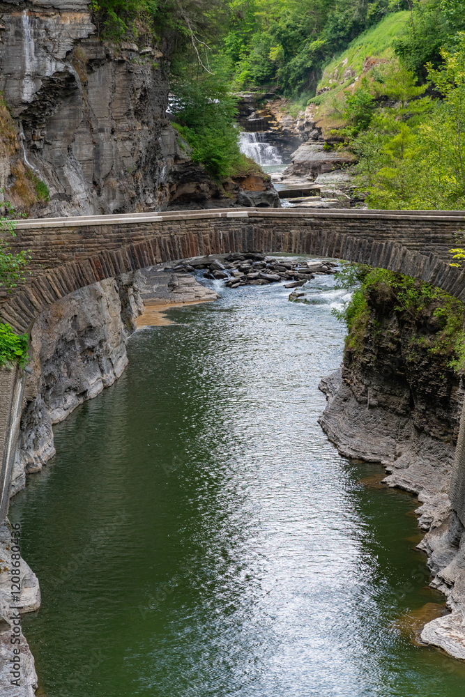 New York park with bridge