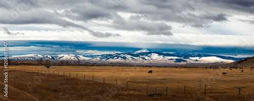 Wyoming ranch land with cattle and snow caped mountains