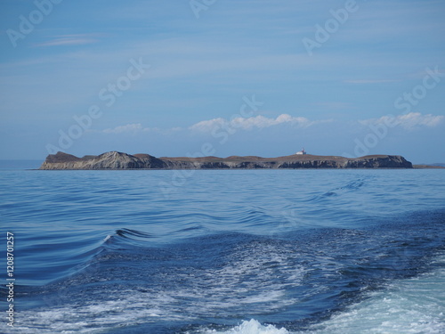 Isla Magdalena, Chile