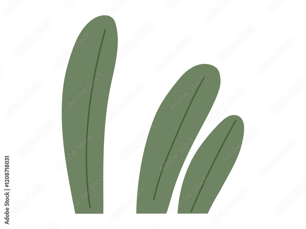 Three elongated green leaves with simple lines and flat colors Ideal for nature, gardening, organic products, environment, and botanical themes Modern flat vector style Three elongated green leaves with simple lines and flat colors Ideal for nature, gardening, organic products, environment, and botanical themes Modern flat vector style