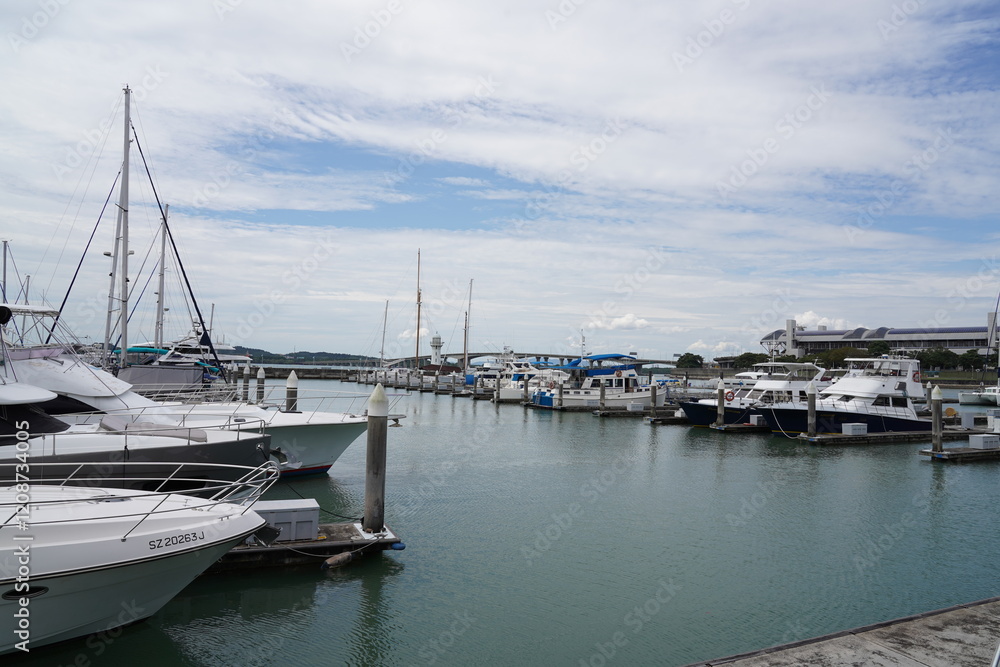 Fototapeta premium yachts in marina