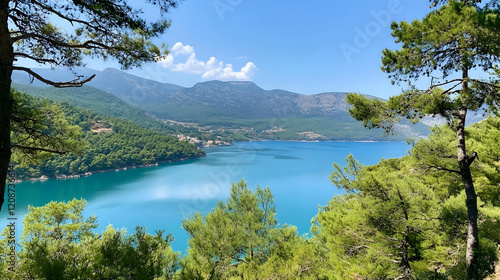 Turquoise bay, mountains, pine trees, summer, idyllic landscape, travel destination