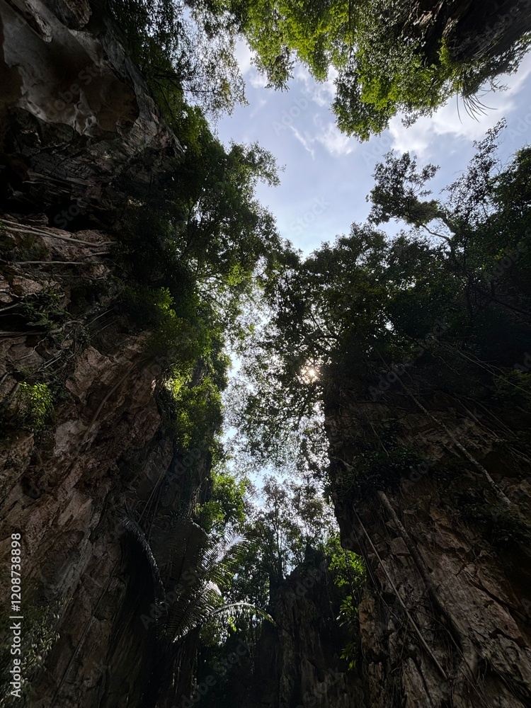 View of tall cliffs and trees overlooking clear skies, with the sun peaking through. Surrounded by the largeness of nature, captured in a low-angle high quality image. View of tall cliffs and trees overlooking clear skies, with the sun peaking through. Surrounded by the largeness of nature, captured in a low-angle high quality image.