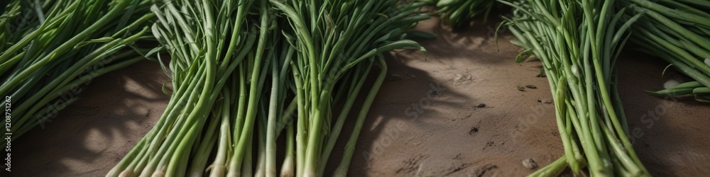 A bed of spring onions extending endlessly in all directions without a stop, fields, endless rows A bed of spring onions extending endlessly in all directions without a stop, fields, endless rows