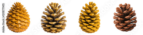 Assorted pinecones in various sizes shapes and colors arranged on a rustic wooden background  These natural pine cones display intricate textures and patterns photo