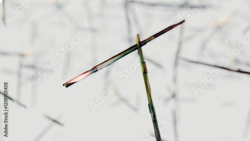 3d rendering of scattered urate crystals; Uric acid or kidneys excrete too little uric acid, it can build up, forming sharp, needle-like urate crystals in a joint or surrounding tissue.