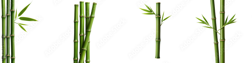 Tranquil Bamboo Forest Backdrop for Natural Wellness and Mindful Lifestyle Lush green bamboo stems and leaves create a serene zen like atmosphere perfect for spa meditation relaxation Tranquil Bamboo Forest Backdrop for Natural Wellness and Mindful Lifestyle Lush green bamboo stems and leaves create a serene zen like atmosphere perfect for spa meditation relaxation