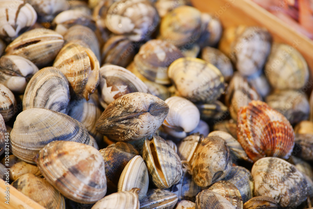 Fresh Clams Elegantly Displayed for Sale in a Bustling Market Setting Fresh Clams Elegantly Displayed for Sale in a Bustling Market Setting