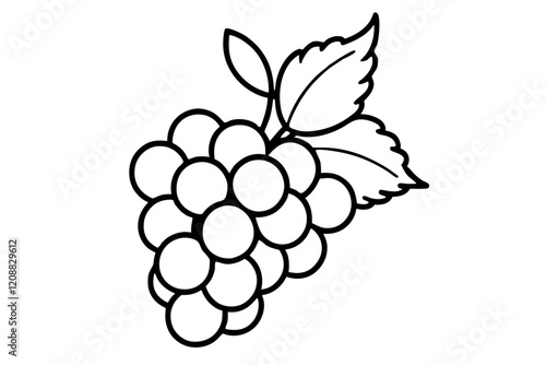 Detailed Line Art of Grapes with Leaves – Vector Illustration