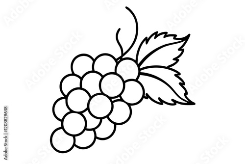 Detailed Line Art of a Bunch of Grapes with Leaves Illustration
