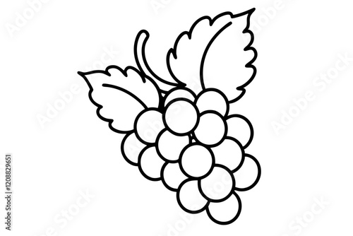 Detailed Line Art of a Bunch of Grapes with Leaves Illustration