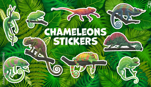 Cartoon chameleon lizards character stickers pack in jungle forest, vector animals. Funny colorful chameleons on tree branch, stickers set of exotic tropical lizard reptiles in palm leaves photo