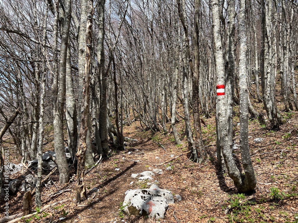 Premuzic hiking trail or Premuzic Trail - Velebit Nature Park, Croatia or Premuzic-Wanderweg or Premuzic's Trail (Pješački planinarski put Premužićeva staza - Park prirode Velebit, Hrvatska) Premuzic hiking trail or Premuzic Trail - Velebit Nature Park, Croatia or Premuzic-Wanderweg or Premuzic's Trail (Pješački planinarski put Premužićeva staza - Park prirode Velebit, Hrvatska)
