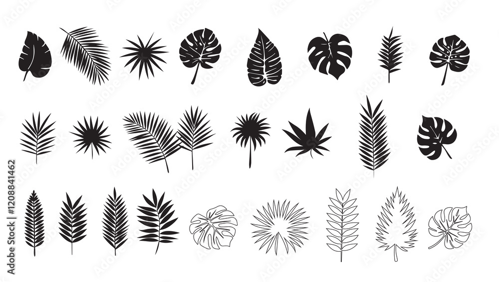 Collection of tropical, botanical leaf , shapes elements silhouette design Collection of tropical, botanical leaf , shapes elements silhouette design