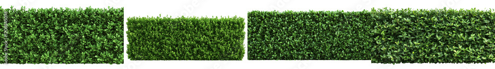 Obraz premium Beautiful Meticulously Arranged Green Hedges in Symmetrical Pattern for Nature Landscape or Background Design